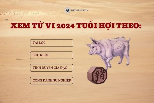 Tổng quan vận trình **tử vi tuổi Hợi năm 2024**