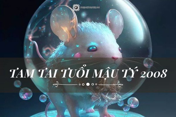 Tổng quan về hạn Tam Tai tuổi Mậu Tý 2008