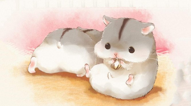 Tổng quan về người tuổi Mậu Tý 2008 con giáp Chuột