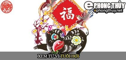 Tổng quan về tử vi trọn đời tuổi Hợi