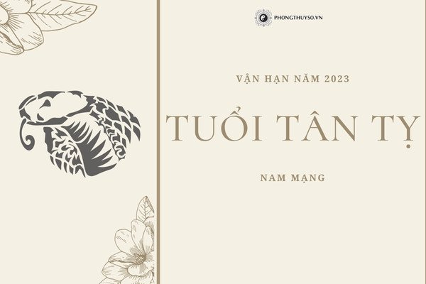 Tử vi nam mạng tuổi Tân Tỵ 2001 năm 2023 - Vận hạn
