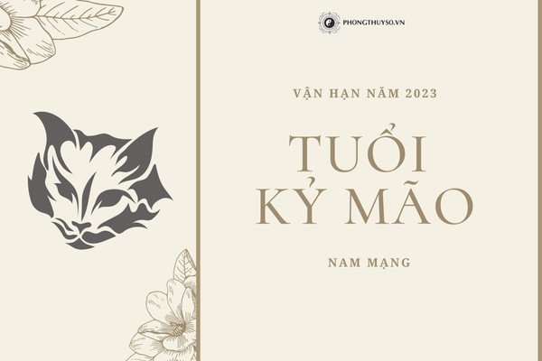 Tử vi tuổi Kỷ Mão 1999 nam mạng dự báo vận hạn năm 2023