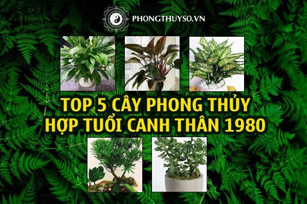 tuổi canh thân 1980 hợp với cây gì