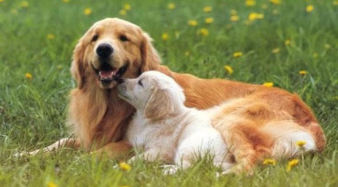 Tuổi của người sinh năm 1958 vào năm 1990