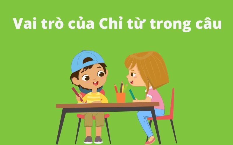 Vai trò của chỉ từ