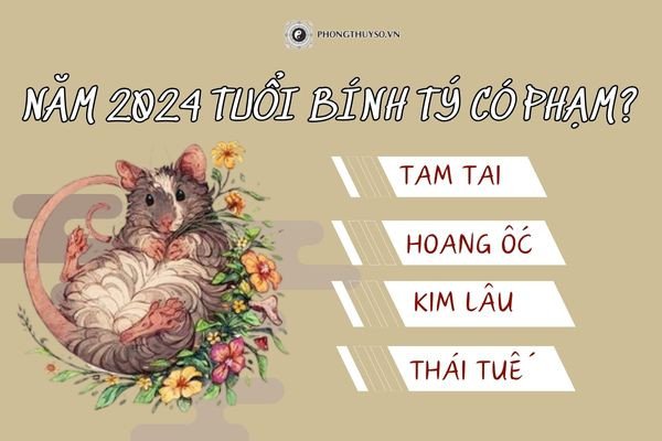 Vận hạn của nam giới tuổi Bính Tý sinh năm 1996 trong năm Giáp Thìn