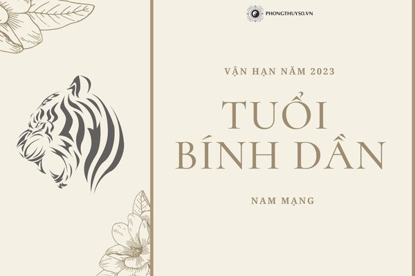 Vận hạn tuổi Bính Dần năm 2023 nam mạng