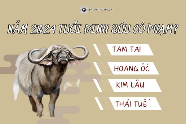 Vận trình năm 2024 của nữ mạng Đinh Sửu 1997