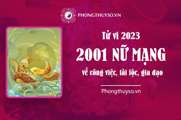 Vận trình tài lộc và sức khỏe nữ mạng 2001 năm 2023