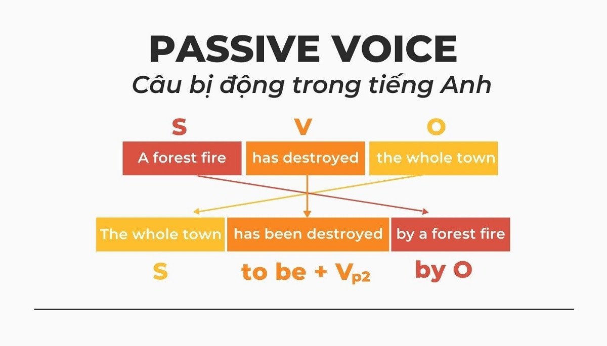 Ví dụ về bài tập câu bị động dạng chia động từ