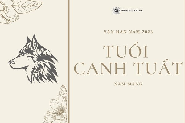 Xem tử vi nam mạng 1970 năm 2024 chi tiết