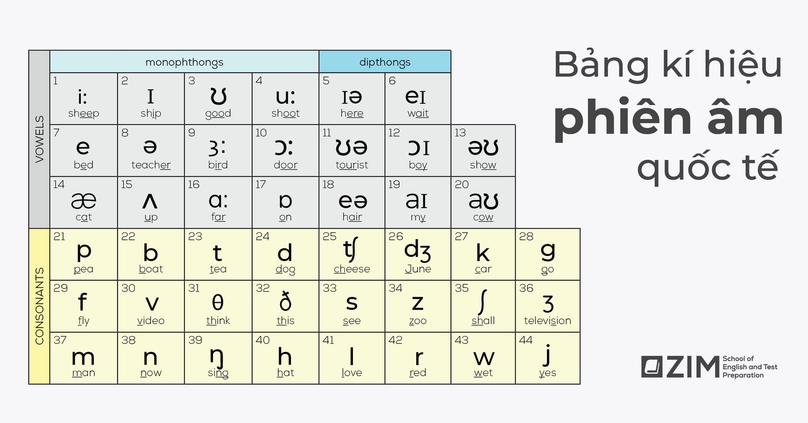 Bảng ký hiệu phiên âm quốc tế IPA giúp chuẩn hóa phát âm tiếng Anh