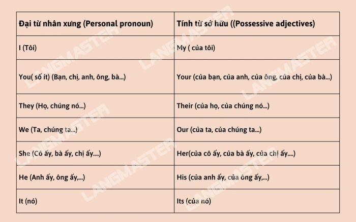 Bảng tổng hợp các tính từ sở hữu phổ biến trong tiếng Anh, minh họa mối quan hệ giữa đại từ nhân xưng và tính từ sở hữu tương ứng.