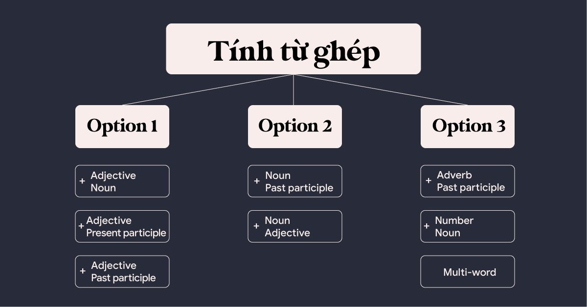 Biểu đồ cấu trúc các dạng tính từ ghép phổ biến trong ngữ pháp tiếng Anh