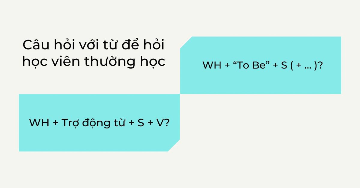 Biểu đồ cấu trúc câu hỏi WH phổ biến học viên thường gặp
