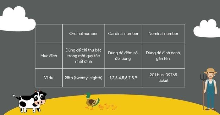 Biểu đồ so sánh và phân biệt số đếm, số thứ tự và số định danh trong ngữ pháp tiếng Anh, minh họa rõ ràng các loại số