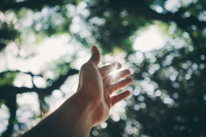 Biểu tượng hy vọng và lòng tin vững chắc trong tiếng Anh