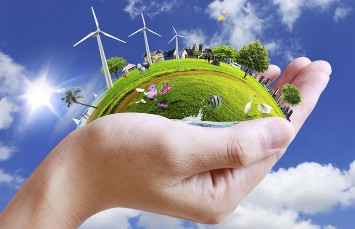 Biểu tượng tái chế với hình ảnh cây xanh, đại diện cho việc giảm thiểu rác thải và phát triển bền vững để bảo vệ môi trường