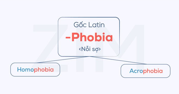 Các hậu tố tiếng Anh phổ biến được mượn từ ngôn ngữ Latin