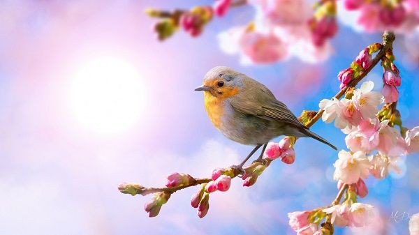 Các hoạt động ngoài trời trong mùa xuân, thể hiện niềm vui và sự sôi động của tuổi trẻ