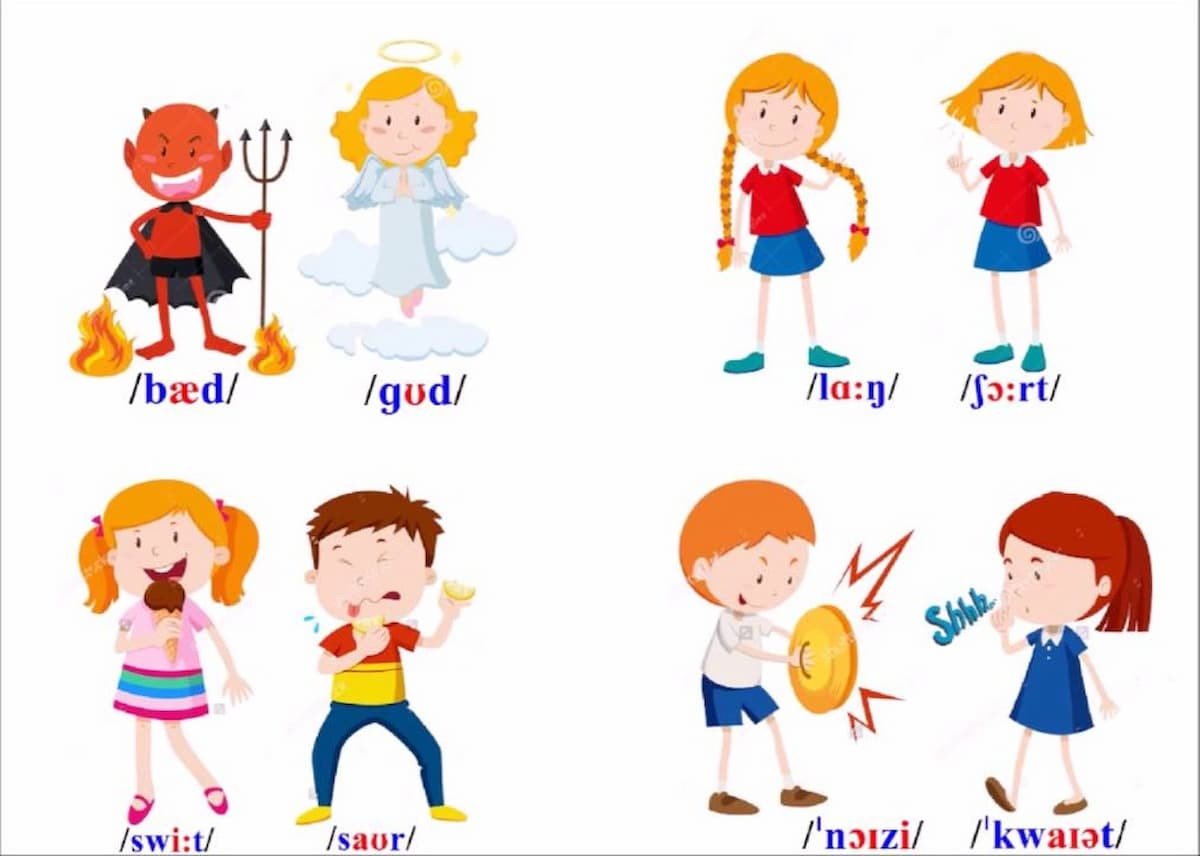 Các loại từ trái nghĩa tiếng Anh cơ bản và ví dụ