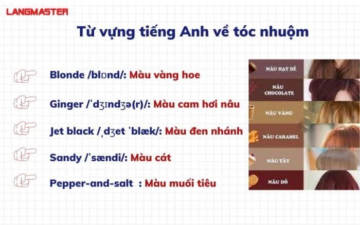 Các lọn tóc được nhuộm màu đa dạng, minh họa sự phong phú của tóc nhuộm trong tiếng Anh