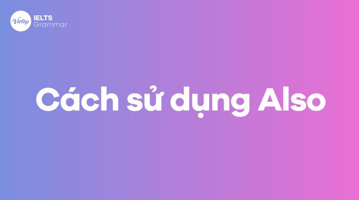 Các ví dụ thực tế về cách sử dụng Also trong tiếng Anh hiệu quả