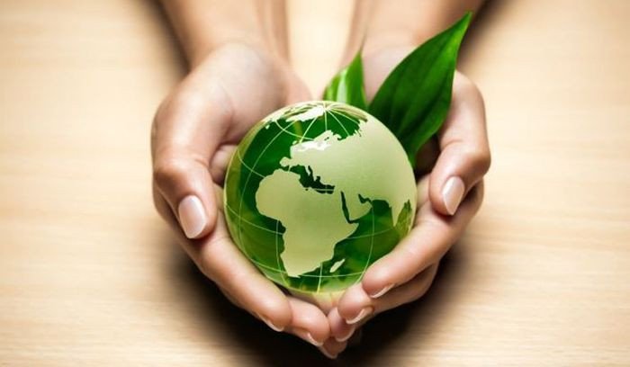 Cảnh rừng xanh tươi, thể hiện tầm quan trọng của việc bảo vệ rừng và hệ sinh thái tự nhiên