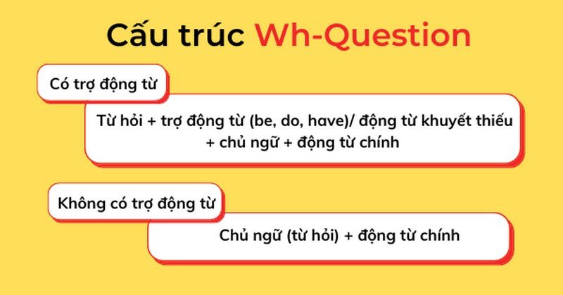 Cấu trúc chung của câu hỏi Wh trong tiếng Anh với trợ động từ