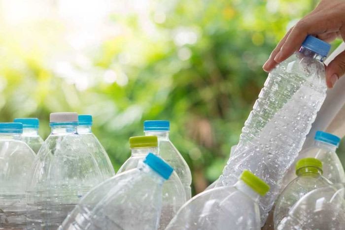 Chai nhựa tái chế nghệ thuật, mô tả sở thích bằng tiếng Anh