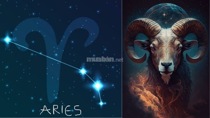 Cung Bạch Dương Aries và biểu tượng con cừu