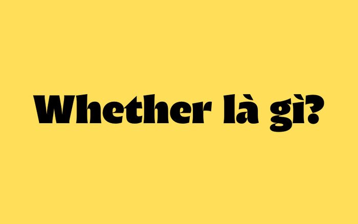 Định nghĩa liên từ whether trong tiếng Anh
