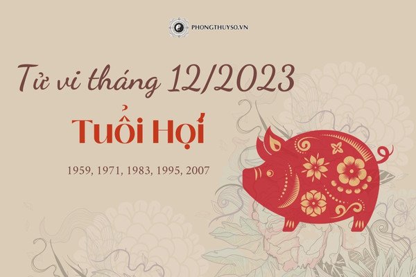 Dự báo tử vi tháng 12 âm lịch 2023 của người tuổi Hợi