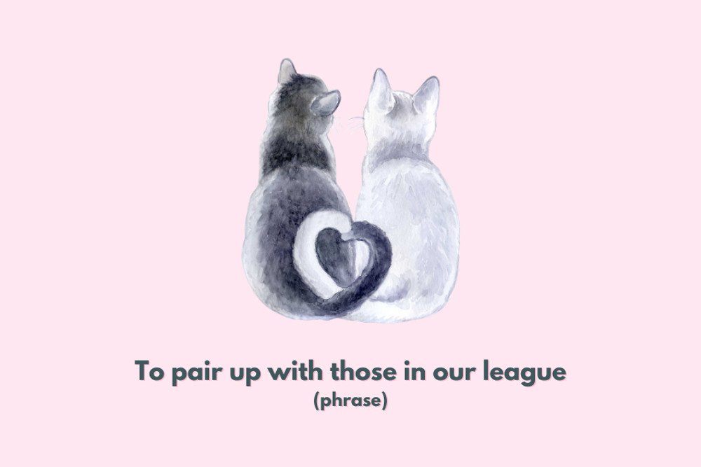 Hình ảnh hai người đang hợp tác, thể hiện ý nghĩa của cụm từ To pair up with those in our league, nói về việc làm việc với những người cùng cấp độ.