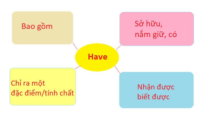 Hình ảnh minh họa ý nghĩa đa dạng của động từ Have trong tiếng Anh
