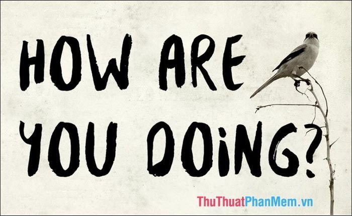 Cách Dùng "How Are You Doing?" Chuẩn Giao Tiếp Anh Ngữ