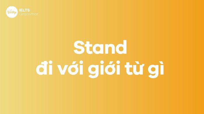 Khám phá các cụm động từ stand trong tiếng Anh
