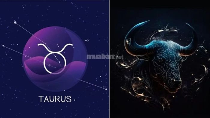Kim Ngưu Taurus biểu tượng sức mạnh