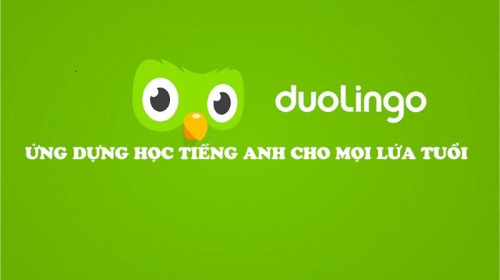 Màn hình bài học Duolingo với các bài tập tương tác luyện tiếng Anh.