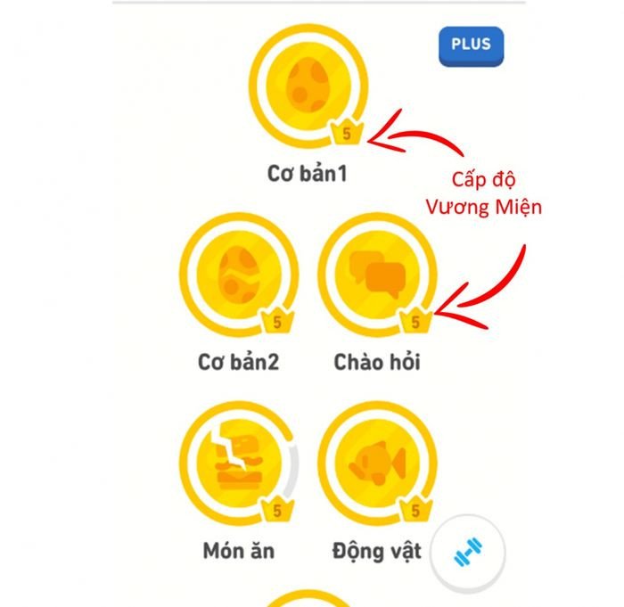 Màn hình giao diện Duolingo hiển thị bài học tiếng Anh với các lựa chọn từ