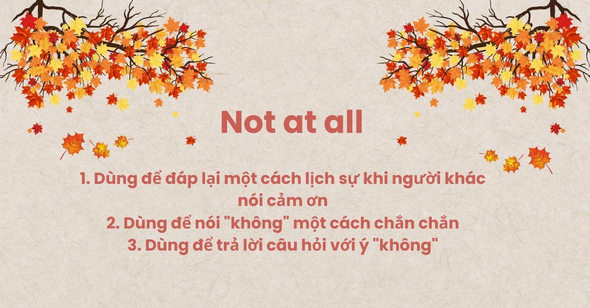Minh họa các tình huống sử dụng not at all là gì trong giao tiếp tiếng Anh