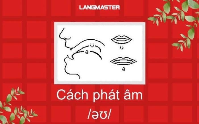 Minh họa chi tiết vị trí môi và lưỡi để phát âm nguyên âm đôi /əʊ/ đúng cách.
