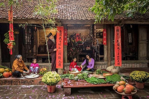 Minh họa hoa mai vàng đặc trưng của Tết Nguyên Đán miền Nam