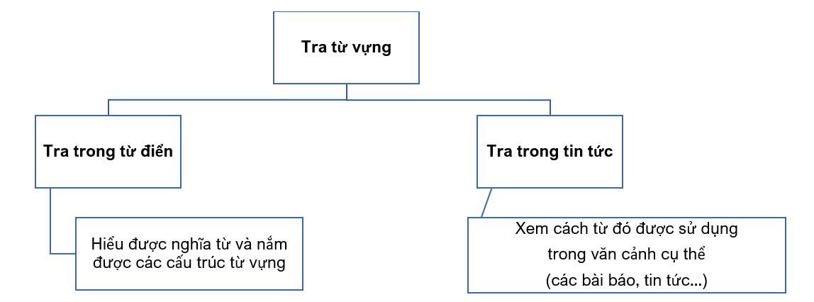 Minh họa quy trình tìm hiểu từ vựng qua từ điển và tin tức trên 4English