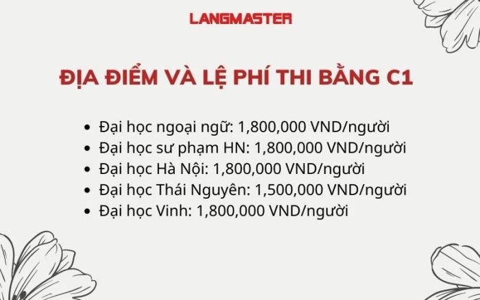 Một bạn trẻ đang nghiên cứu thông tin về địa điểm và lệ phí thi tiếng Anh C1 trên laptop