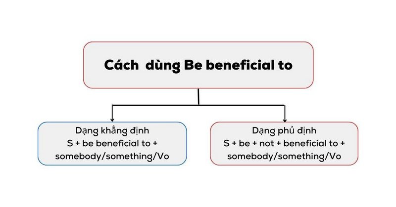 một sinh viên đang học tập chăm chỉ, minh họa cách áp dụng cấu trúc Be beneficial to trong việc rèn luyện tiếng Anh để đạt được lợi ích về kiến thức