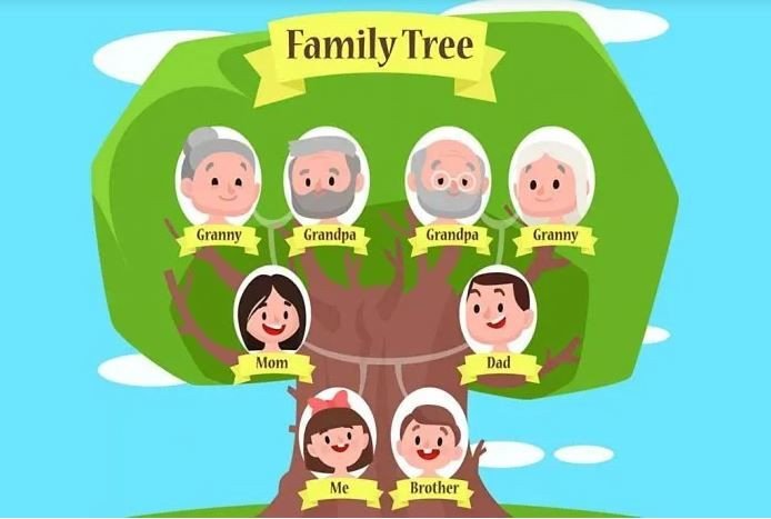 Một sơ đồ minh họa các mối quan hệ gia đình cơ bản bằng tiếng Anh, giúp người học dễ hình dung các thành viên trong gia đình.