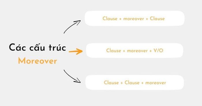 Người học thực hành viết câu sử dụng Moreover trong bài luận
