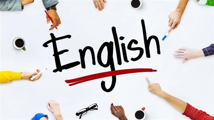 Người học tiếng Anh đang tra từ điển để đảm bảo ngữ nghĩa chính xác trong bài viết