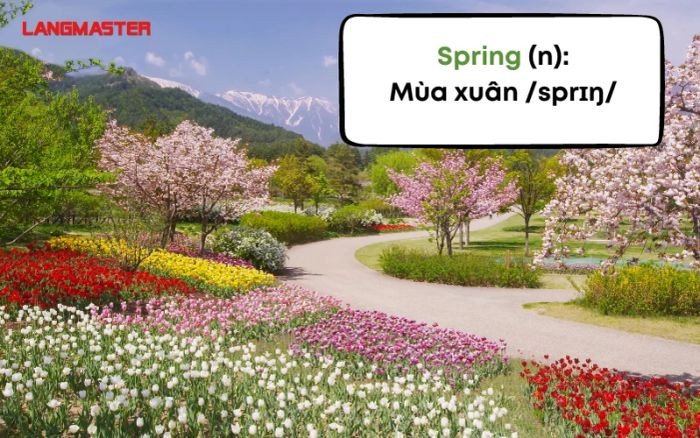 Người phụ nữ đi dạo trong công viên xanh mướt vào ngày nắng mùa xuân, tận hưởng thời tiết ấm áp